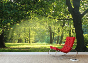 trees in a summer forest Wall Mural Wallpaper - Canvas Art Rocks - 2