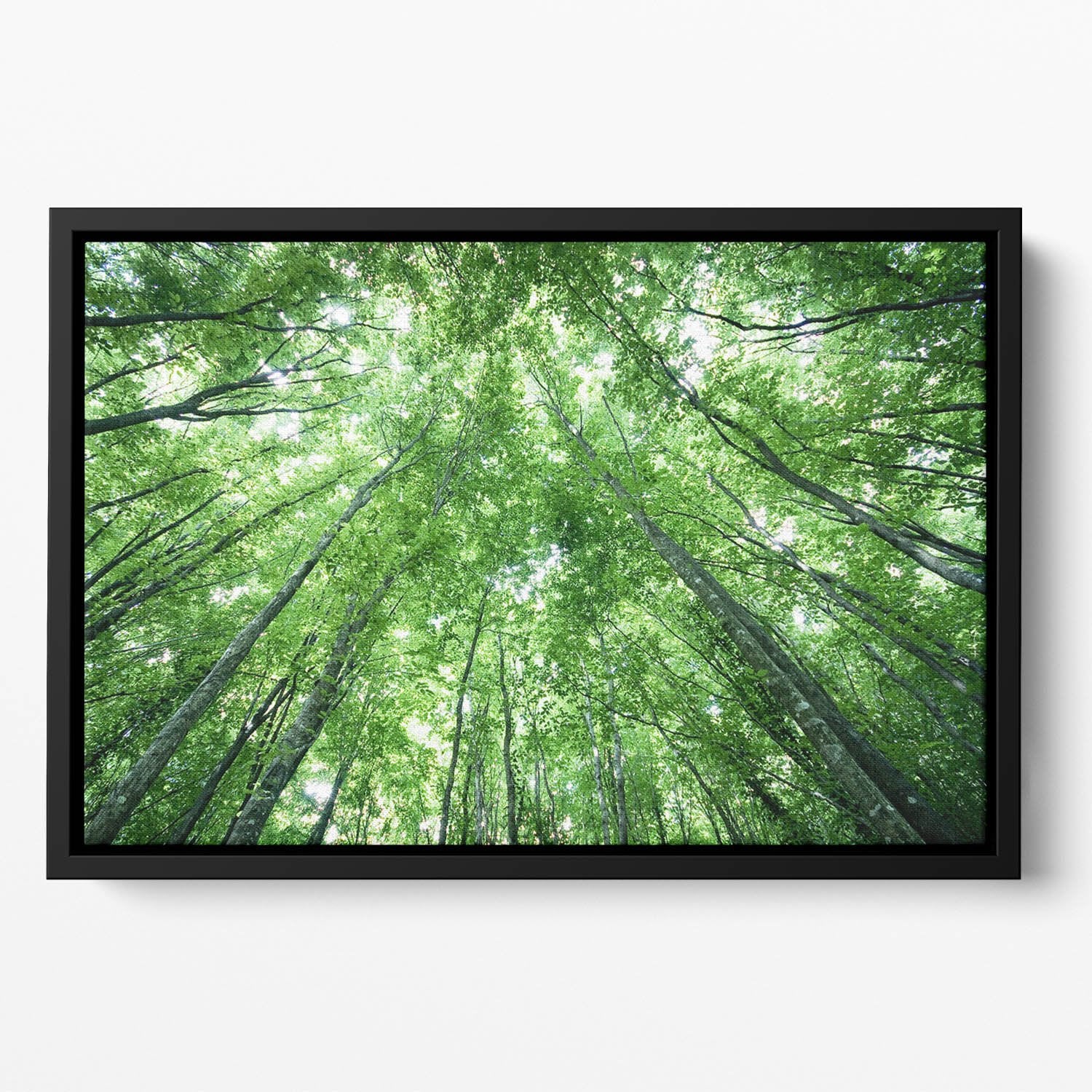 trees meeting eachother at the sky Floating Framed Canvas