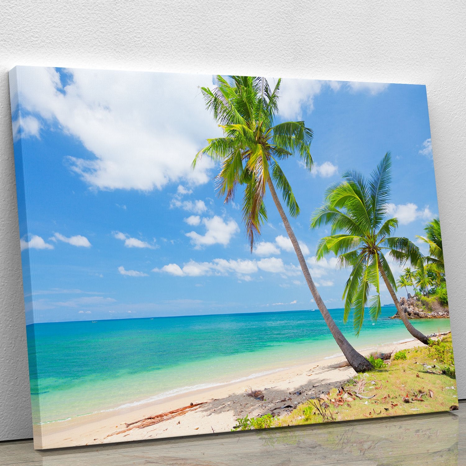 tropical beach with coconut palm Canvas Print or Poster