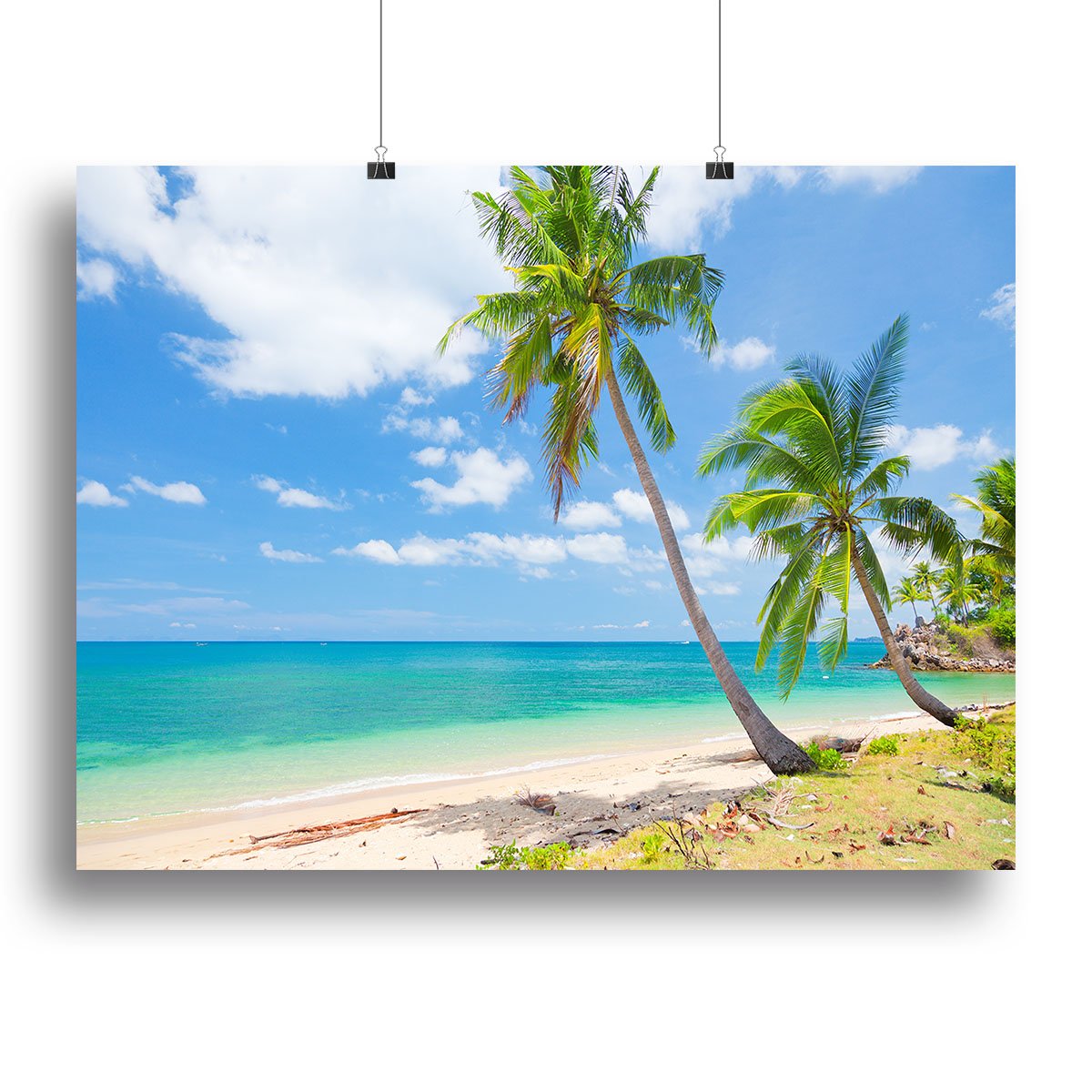 tropical beach with coconut palm Canvas Print or Poster