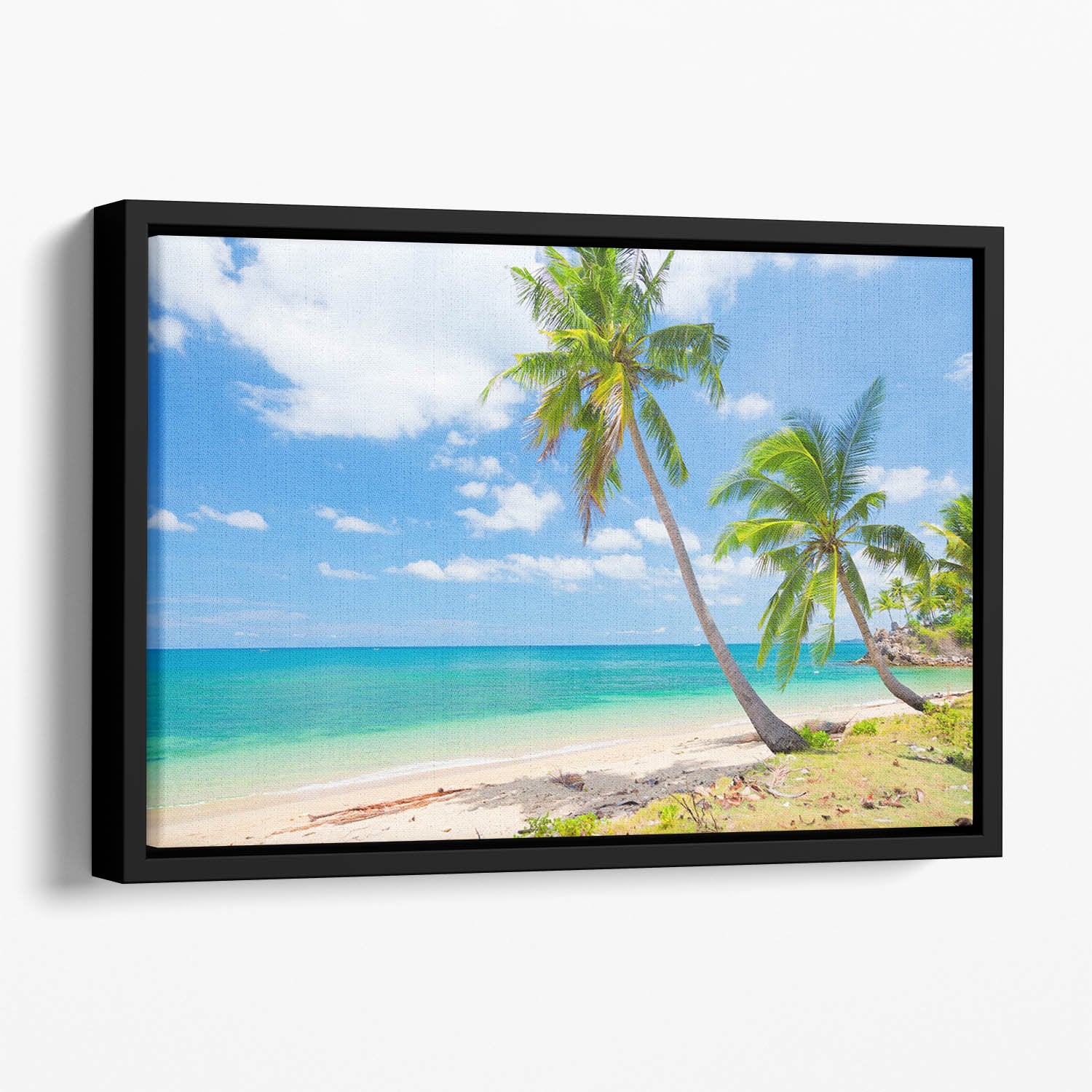 tropical beach with coconut palm Floating Framed Canvas