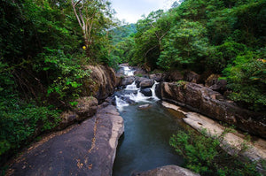 water fall in the forest Wall Mural Wallpaper - Canvas Art Rocks - 1