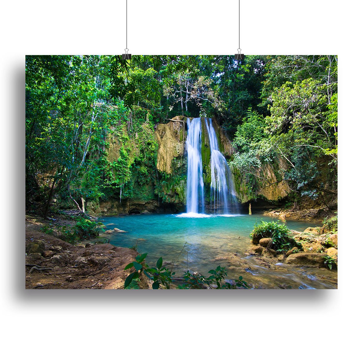 waterfall in deep green forest Canvas Print or Poster