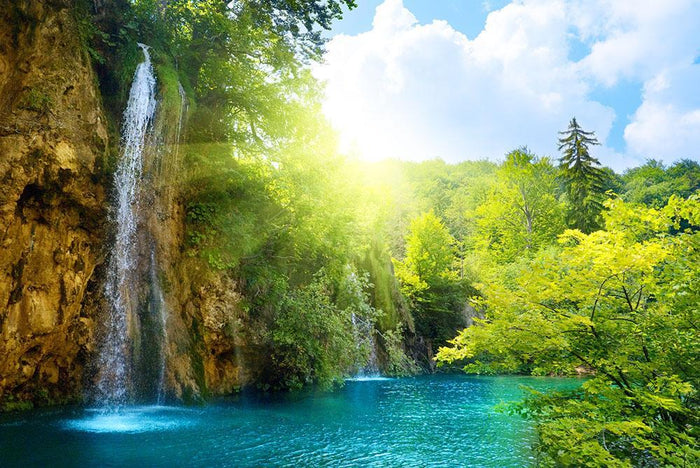 waterfalls in deep forest Wall Mural Wallpaper