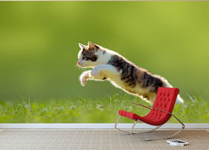 young cat jumps over a meadow in the backlit Wall Mural Wallpaper - Canvas Art Rocks - 2